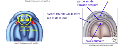 Capture d’écran 2017-04-11 à 09.23.59.png