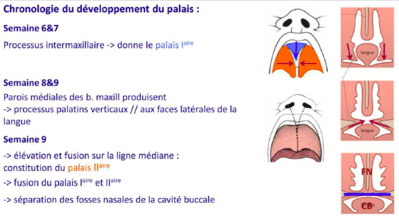 Capture d’écran 2017-04-13 à 21.32.26.png