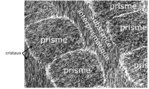 Capture d’écran 2017-04-18 à 11.47.40.png