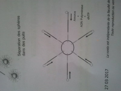 2017-04-20 17.14.53.jpg