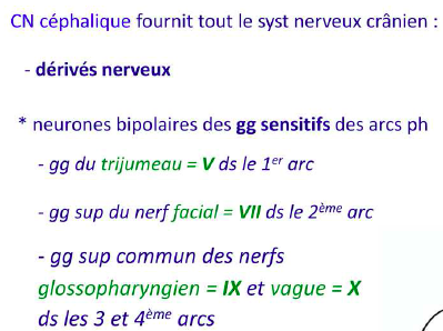 Capture d’écran 2017-04-22 à 20.55.06.png