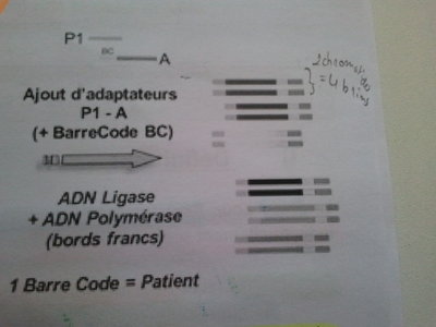 2017-05-03 10.07.40.jpg