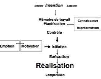 Memoire de travail.png