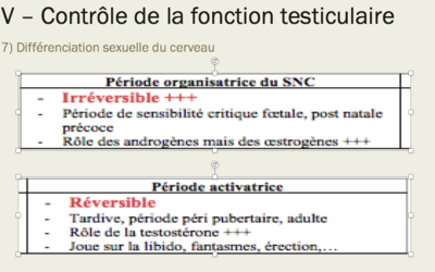 Capture d’écran 2017-09-05 à 19.27.15.png