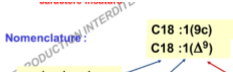 nomelcnlautre.PNG