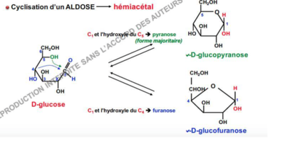 Capture d’écran 2017-09-13 à 19.23.10.png