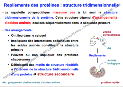 Capture d’écran 2017-09-13 à 20.07.05.png