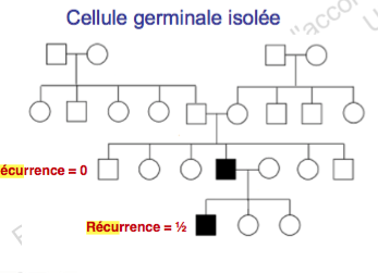 Capture d’écran 2017-09-15 à 20.20.36.png