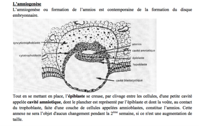Capture d’écran 2017-09-17 à 12.26.04.png