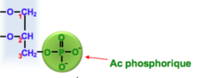 Capture d’écran 2017-09-23 à 12.22.18.png