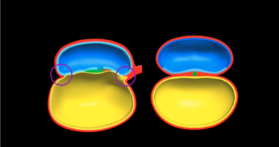 Capture d’écran 2017-09-27 à 20.03.25.png