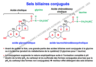 Capture d’écran 2017-09-27 à 21.33.02.png
