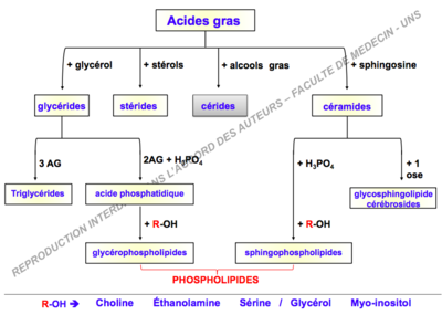 Capture d’écran 2017-10-02 à 16.05.41.png