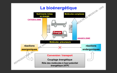 Capture d’écran 2017-10-04 à 17.02.40.png