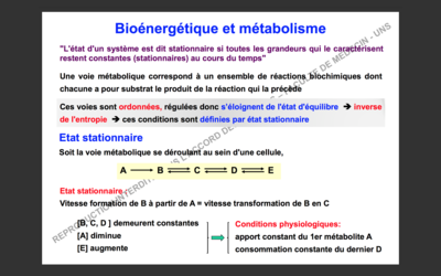 Capture d’écran 2017-10-04 à 17.38.44.png