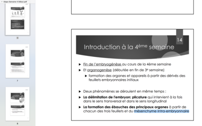Capture d’écran 2017-10-06 à 09.38.58.png