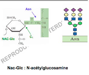 Capture d’écran 2017-10-06 à 22.54.02.png