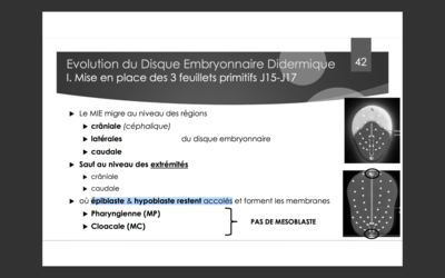 Capture d’écran 2017-10-07 à 08.13.33.png