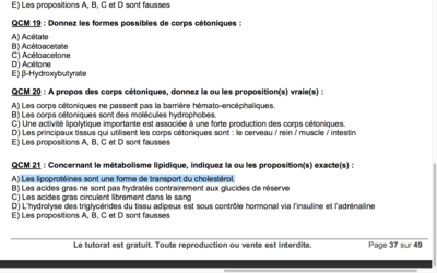 Capture d’écran 2017-10-08 à 10.08.13.png