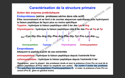 Capture d’écran 2017-10-09 à 07.24.54.png
