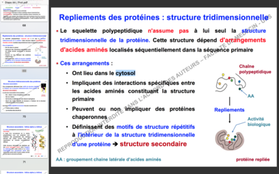 Capture d’écran 2017-10-09 à 08.49.26.png