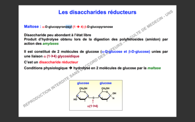 Capture d’écran 2017-10-09 à 10.28.22.png