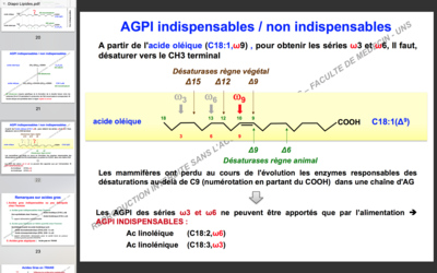 Capture d’écran 2017-10-09 à 20.46.50.png