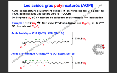 Capture d’écran 2017-10-09 à 20.28.07.png