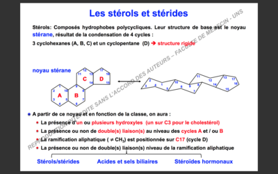 Capture d’écran 2017-10-09 à 20.43.26.png