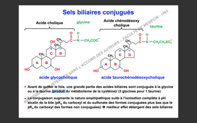 Capture d’écran 2017-10-09 à 21.50.08.png