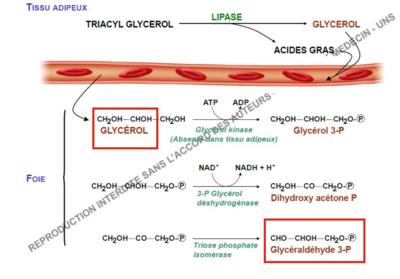 Capture d’écran 2017-10-10 à 21.29.49.png