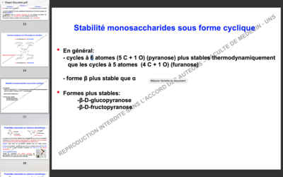 Capture d’écran 2017-10-10 à 21.55.50.png