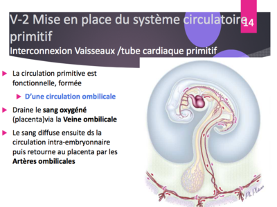 Capture d’écran 2017-10-11 à 11.07.14.png