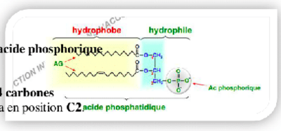 Capture d’écran 2017-10-11 à 11.38.00.png
