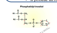 Capture d’écran 2017-10-11 à 11.35.13.png