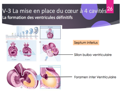 Capture d’écran 2017-10-11 à 12.09.50.png