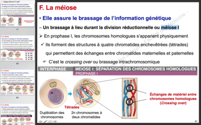 Capture d’écran 2017-10-11 à 17.21.53.png