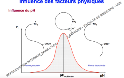 Capture d’écran 2017-10-12 à 13.45.40.png