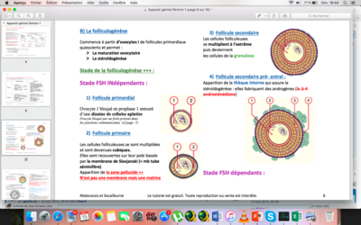 Capture d’écran 2017-10-15 à 18.44.27.png
