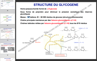 Capture d’écran 2017-10-18 à 11.01.23.png