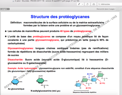 Capture d’écran 2017-10-22 à 11.05.30.png