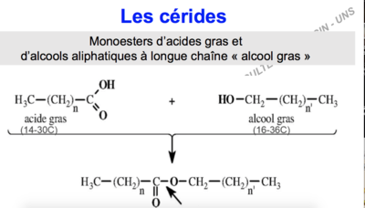 Capture d’écran 2017-10-22 à 11.41.12.png
