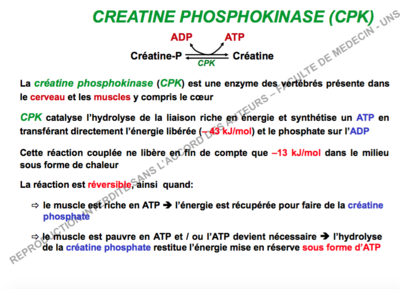 Capture d’écran 2017-10-22 à 12.06.55.png