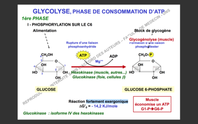 Capture d’écran 2017-10-23 à 14.54.55.png