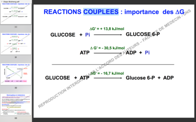 Capture d’écran 2017-10-23 à 14.58.40.png