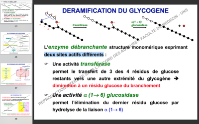 Capture d’écran 2017-10-23 à 15.23.04.png