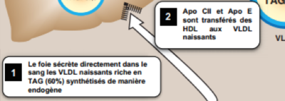 Capture d’écran 2017-10-24 à 21.21.34.png