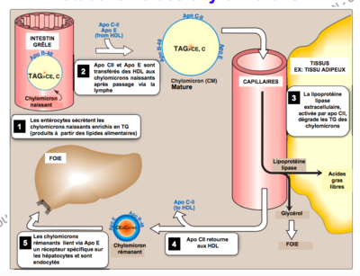 Capture d’écran 2017-10-24 à 22.31.39.png