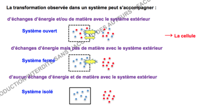 Capture d’écran 2017-10-25 à 09.18.56.png