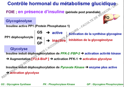 Capture d’écran 2017-10-26 à 16.03.00.png